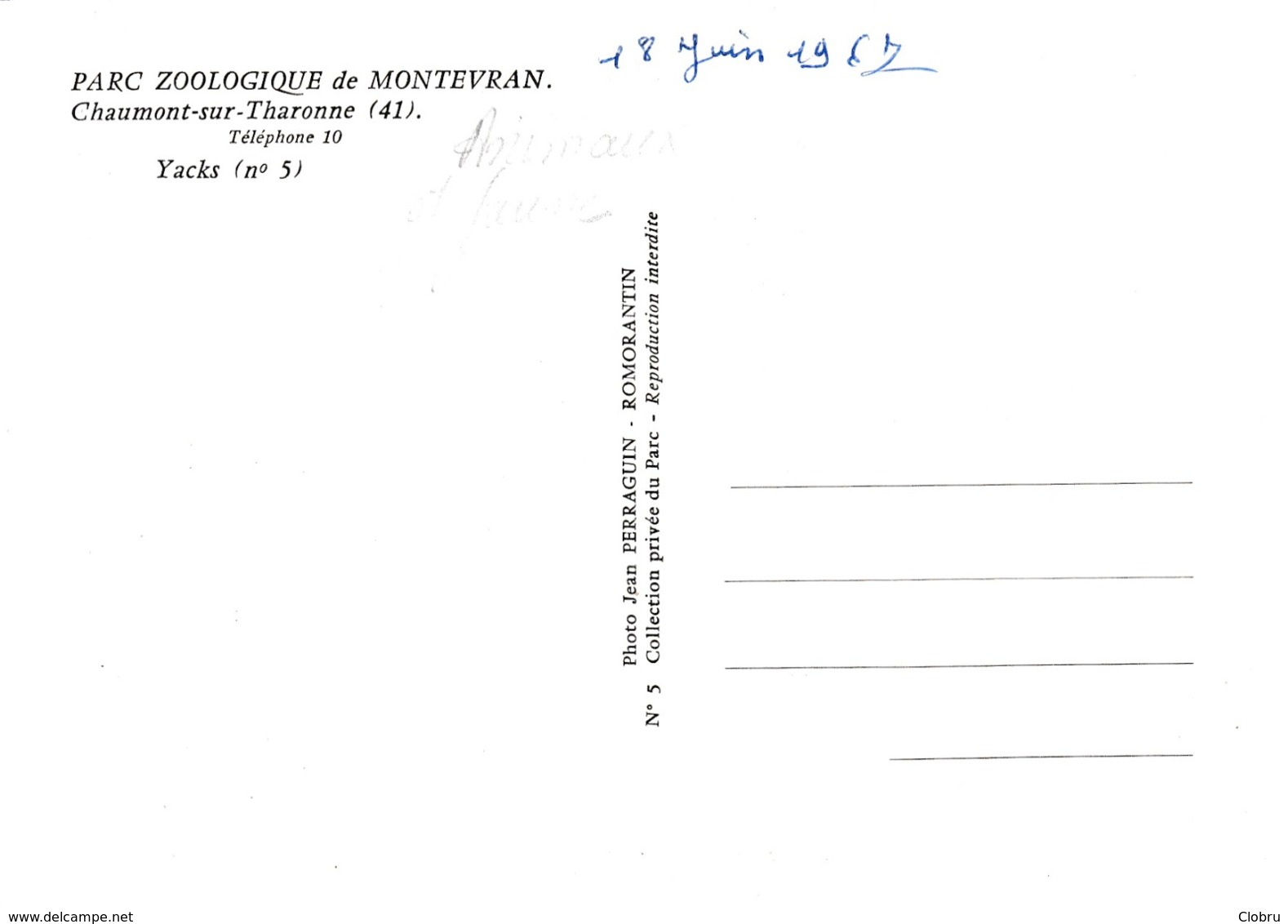 Chaumont Sur Tharonne, Parc Zoologique De Montevran, Yacks - Other & Unclassified