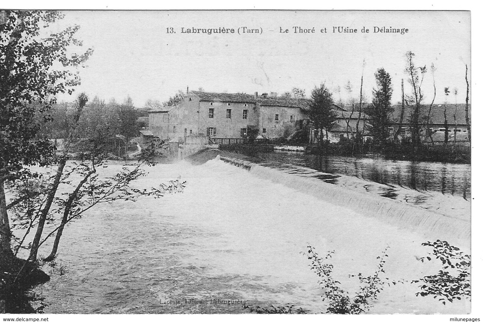 81 TARN L'Usine De Délainage Au Bord Du Thoré  à LABRUGUIERE - Labruguière