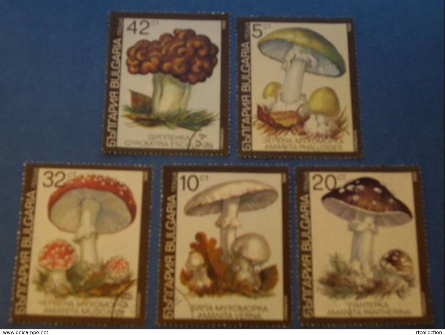 Bulgaria 1991 - One Set Of 5  Poisonous Mushrooms Flora Plant Mushroom Fungi Plants Nature Stamps Used - Mushrooms