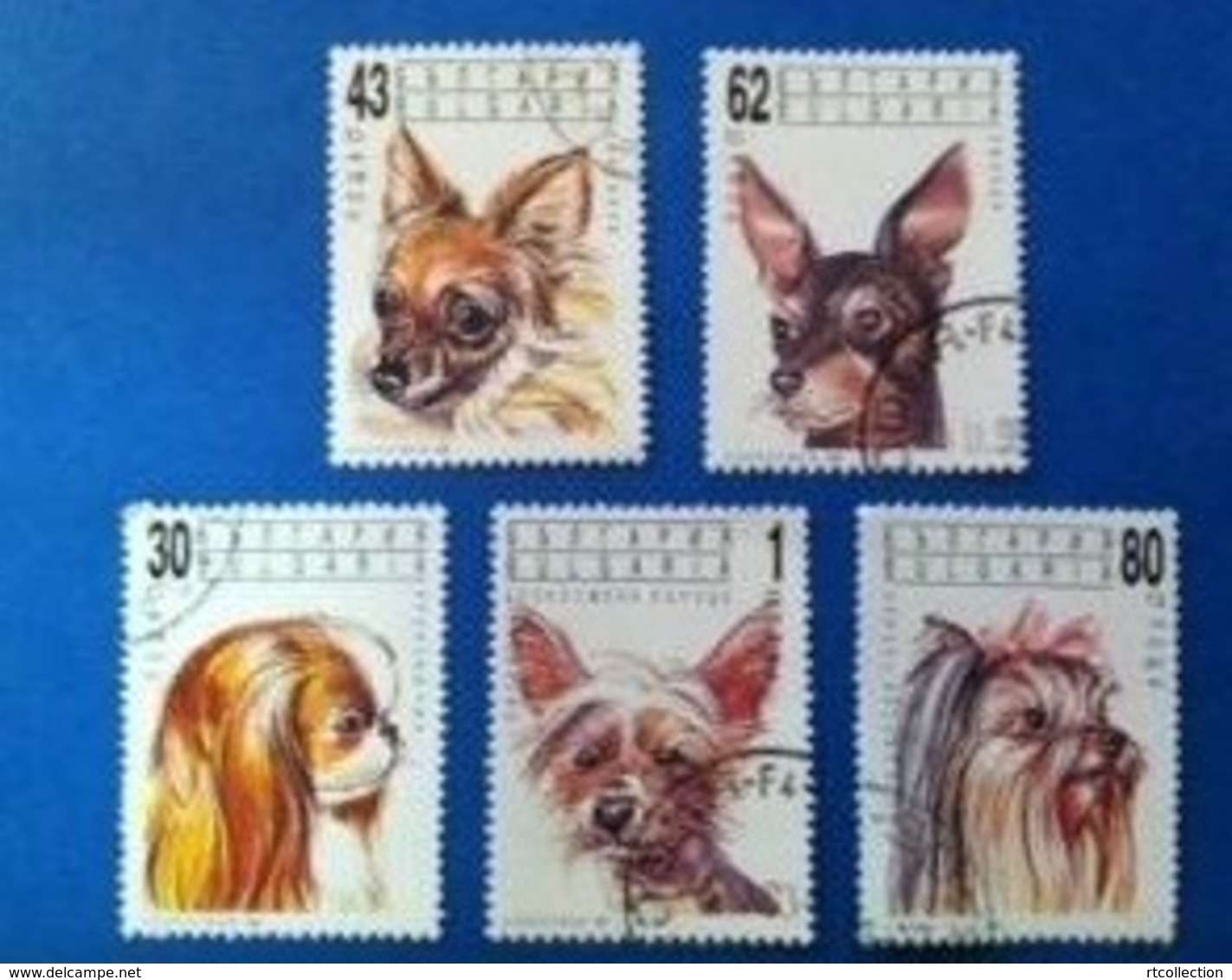 Bulgaria 1991 - 5 Fauna Domestic Animals Mammals Dog Dogs Animal Fauna Nature Stamps Used - Used Stamps