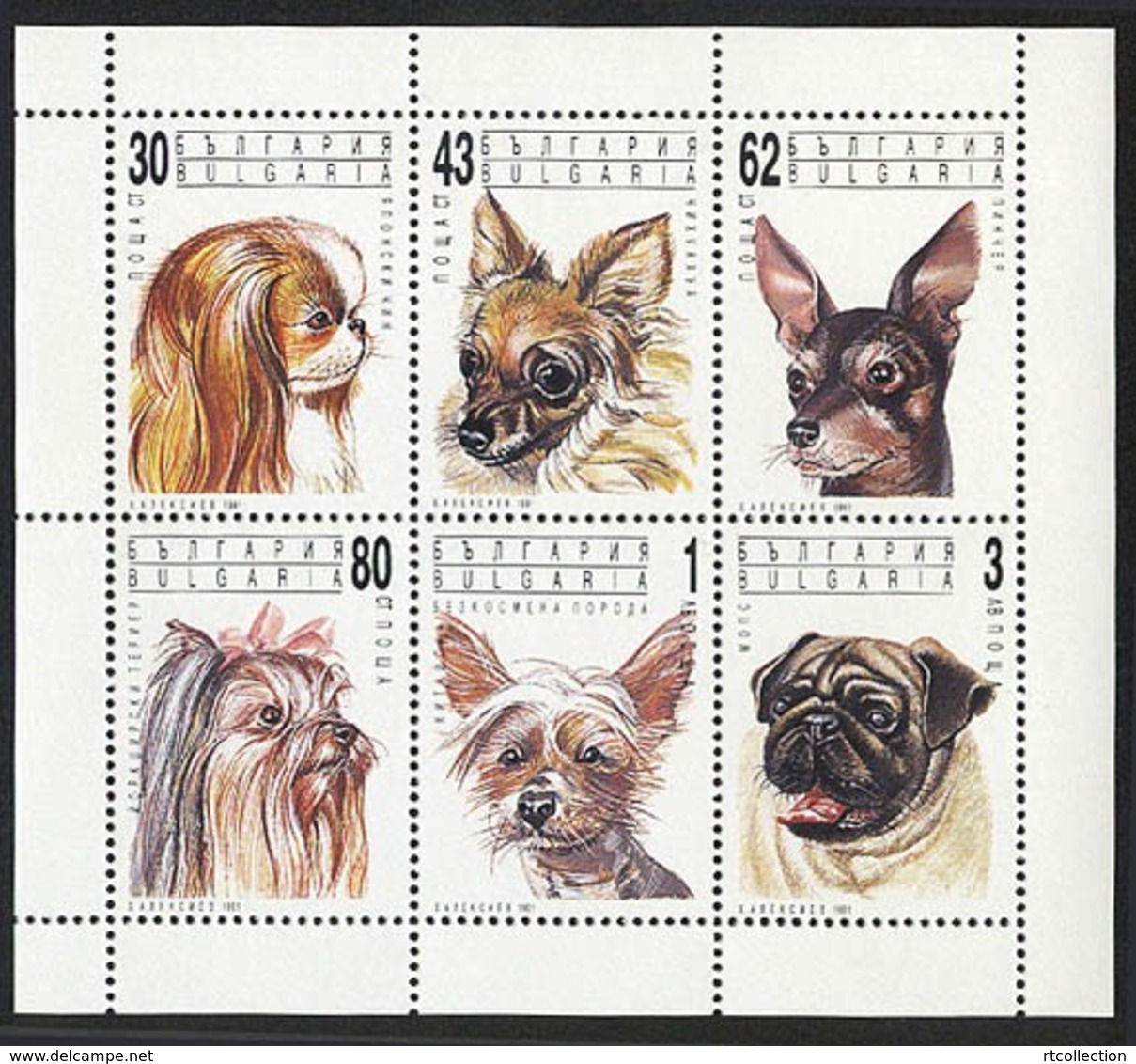 Bulgaria 1991 Fauna Mammal Dog World Famous Dogs Animal Animals Mammals Pet Nature Stamps MNH Michel 3929-3934 Klb - Chiens