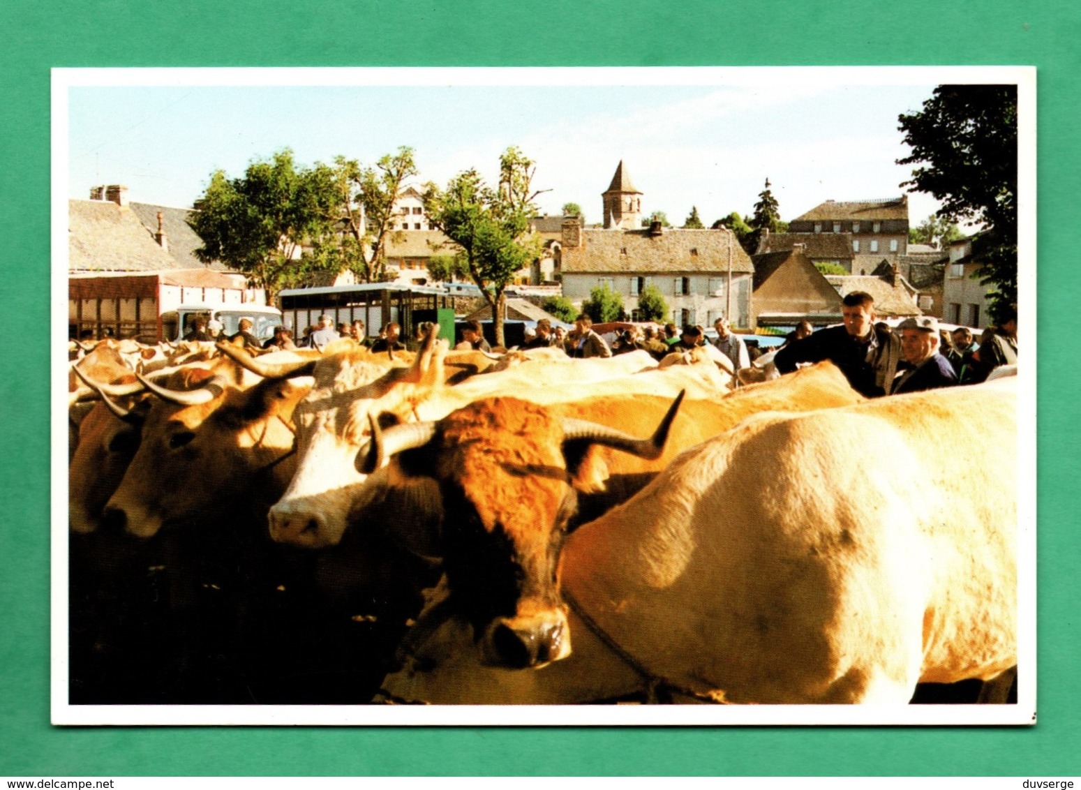 48 Lozere Nasbinals En Aubrac Foire Du 17 Aout 1995 ( Photo Livenais ) - Altri & Non Classificati