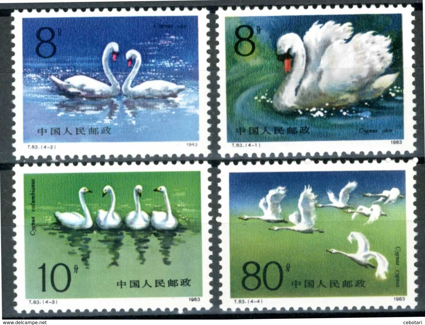 CINA / CHINA 1983** - Uccelli / Birds - "Cigni" - 4 Val. MNH, Come Da Scansione. - Cigni