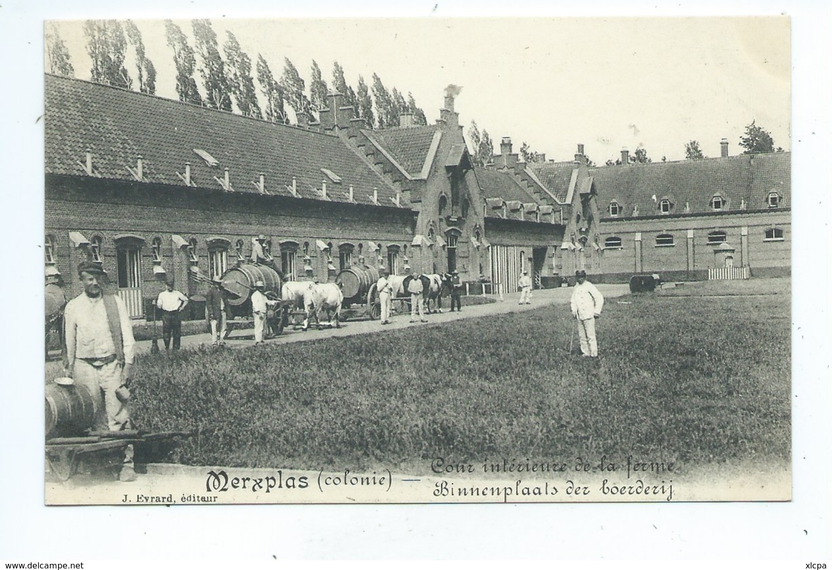 Merksplas Merxplas Colonie Cour Intérieure De La Ferme Binnenplaats Der Boerderij - Merksplas