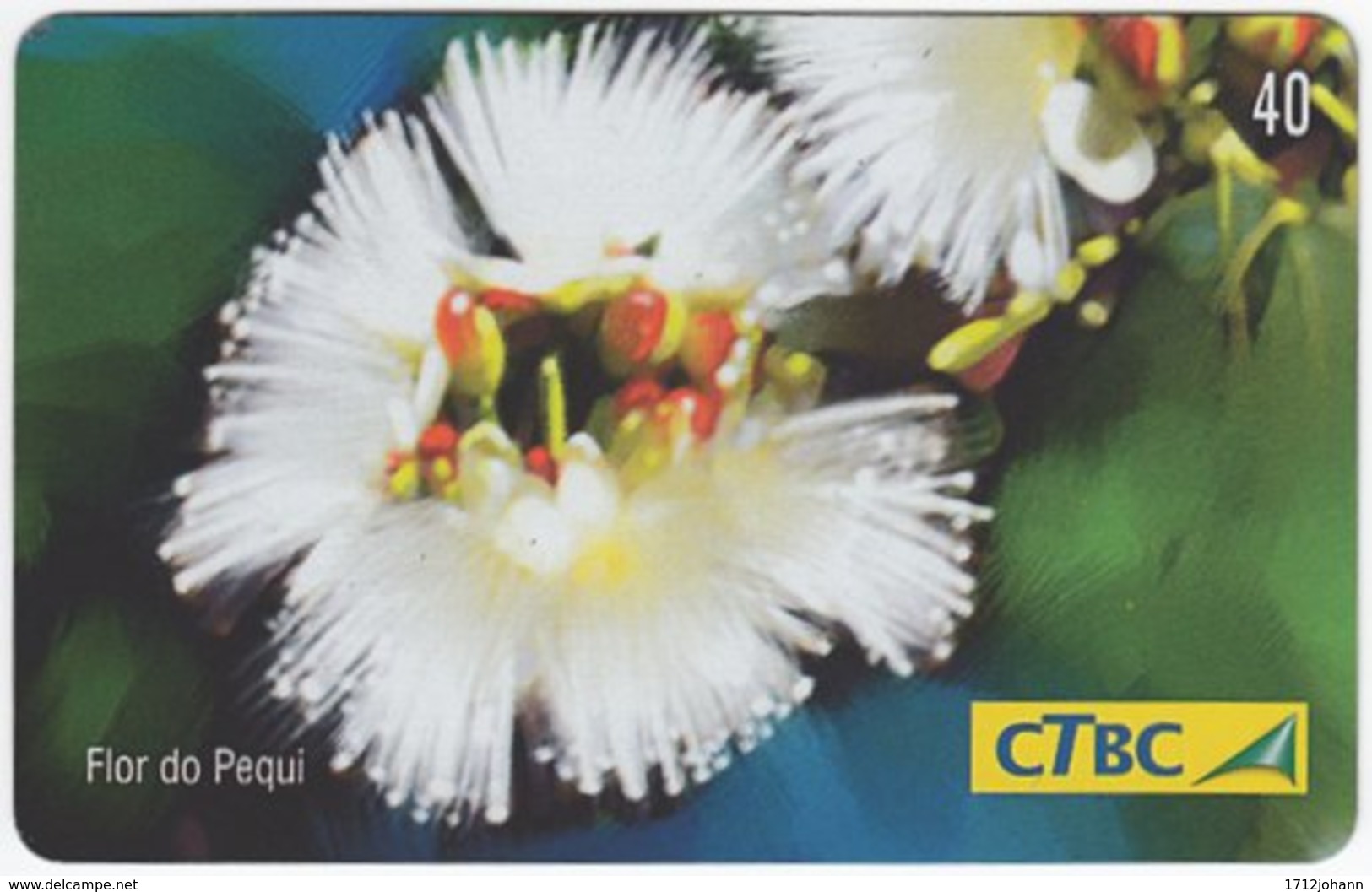 BRASIL K-006 Magnetic CTBC - Plant, Flower - Used - Brasilien