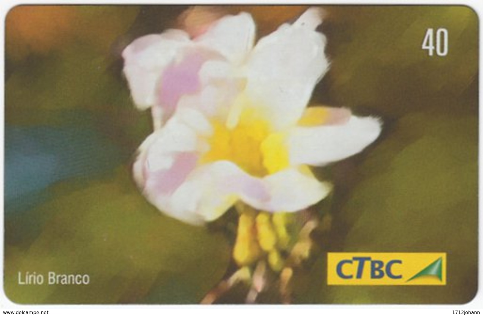 BRASIL K-011 Magnetic CTBC - Plant, Flower - Used - Brésil