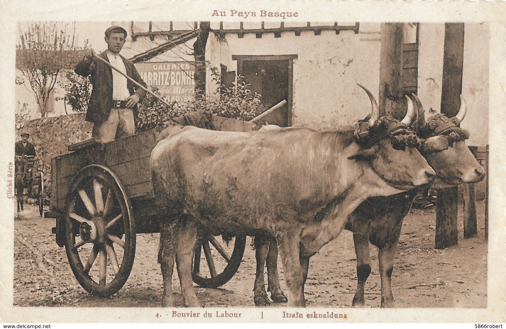 CARTE POSTALE ORIGINALE ANCIENNE : AU PAYS BASQUE ATTELAGE DE BOEUFS  BOUVIER DE LABOUR ANIMEE PYRENEES ATLANTIQUES (64) - Attelages