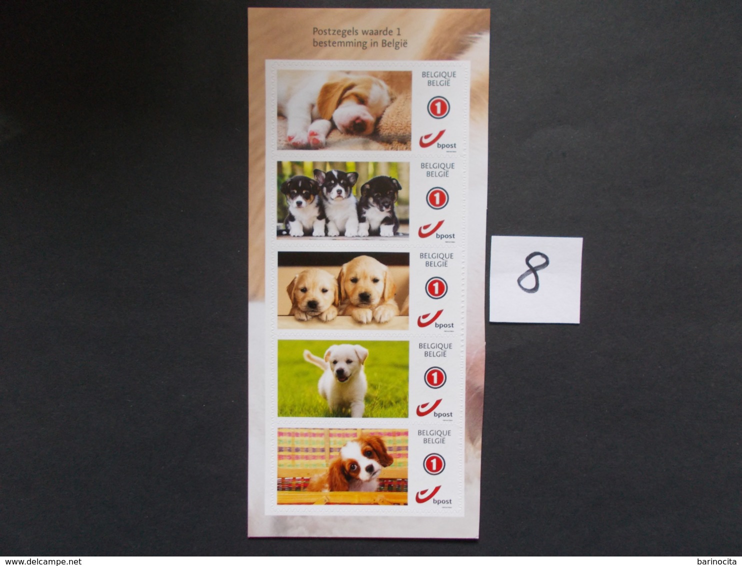 BELGIQUE -    5 Timbres  " CHIOTS " Neuf XX ( Voir Photo ) ( 8 ) - Other & Unclassified