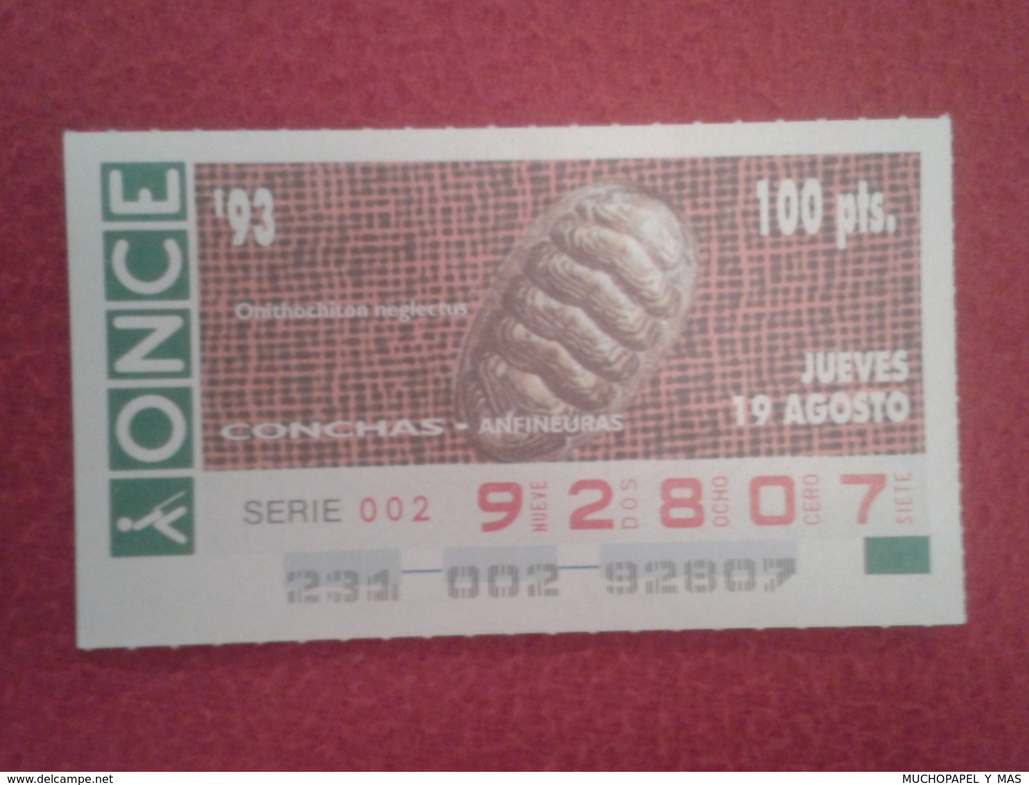 CUPÓN DE ONCE 1993 LOTTERY LOTERIE SPAIN LOTERÍA CONCHAS MARINAS O SIMIL MARINE SHELLS SHELL COQUILLAGES THE SEA CONCHA - Billetes De Lotería