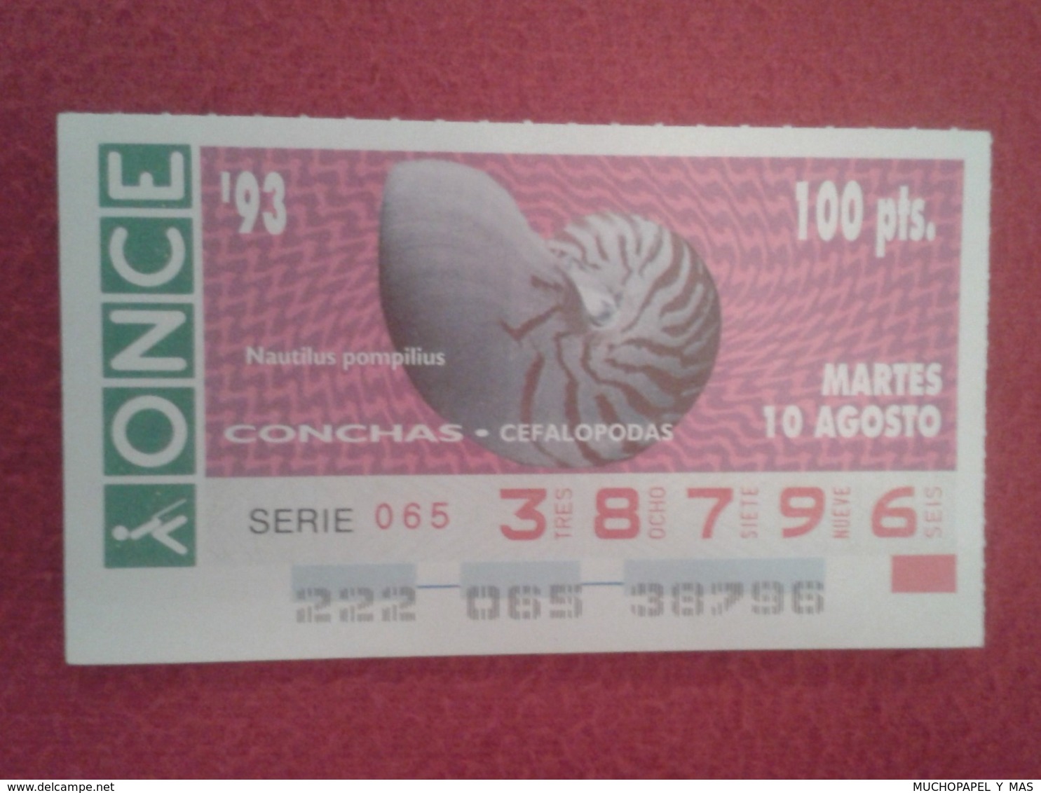 CUPÓN DE ONCE 1993 LOTTERY LOTERIE SPAIN LOTERÍA CONCHAS MARINAS O SIMIL MARINE SHELLS SHELL COQUILLAGES THE SEA CONCHA - Billetes De Lotería