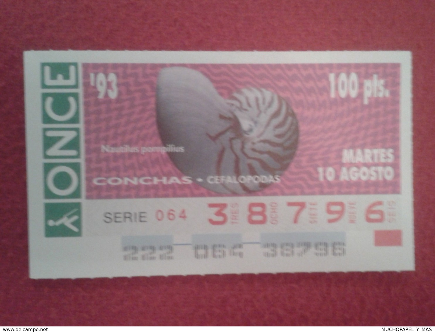 CUPÓN DE ONCE 1993 LOTTERY LOTERIE SPAIN LOTERÍA CONCHAS MARINAS O SIMIL MARINE SHELLS SHELL COQUILLAGES THE SEA CONCHA - Billetes De Lotería