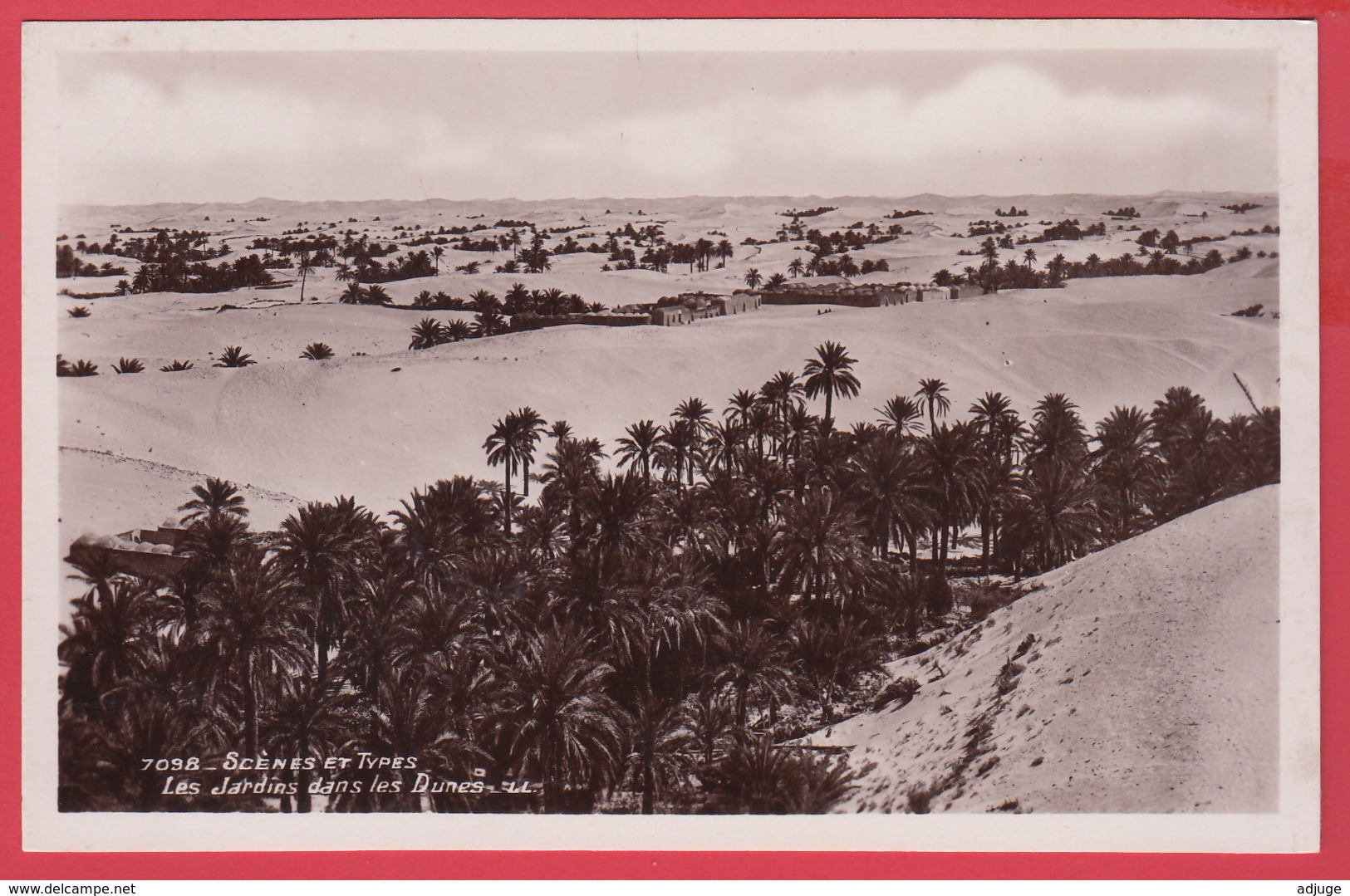 CPSM-Algérie- Les Jardins Dans Les Dunes * Animation** 2 SCANS - Scènes & Types