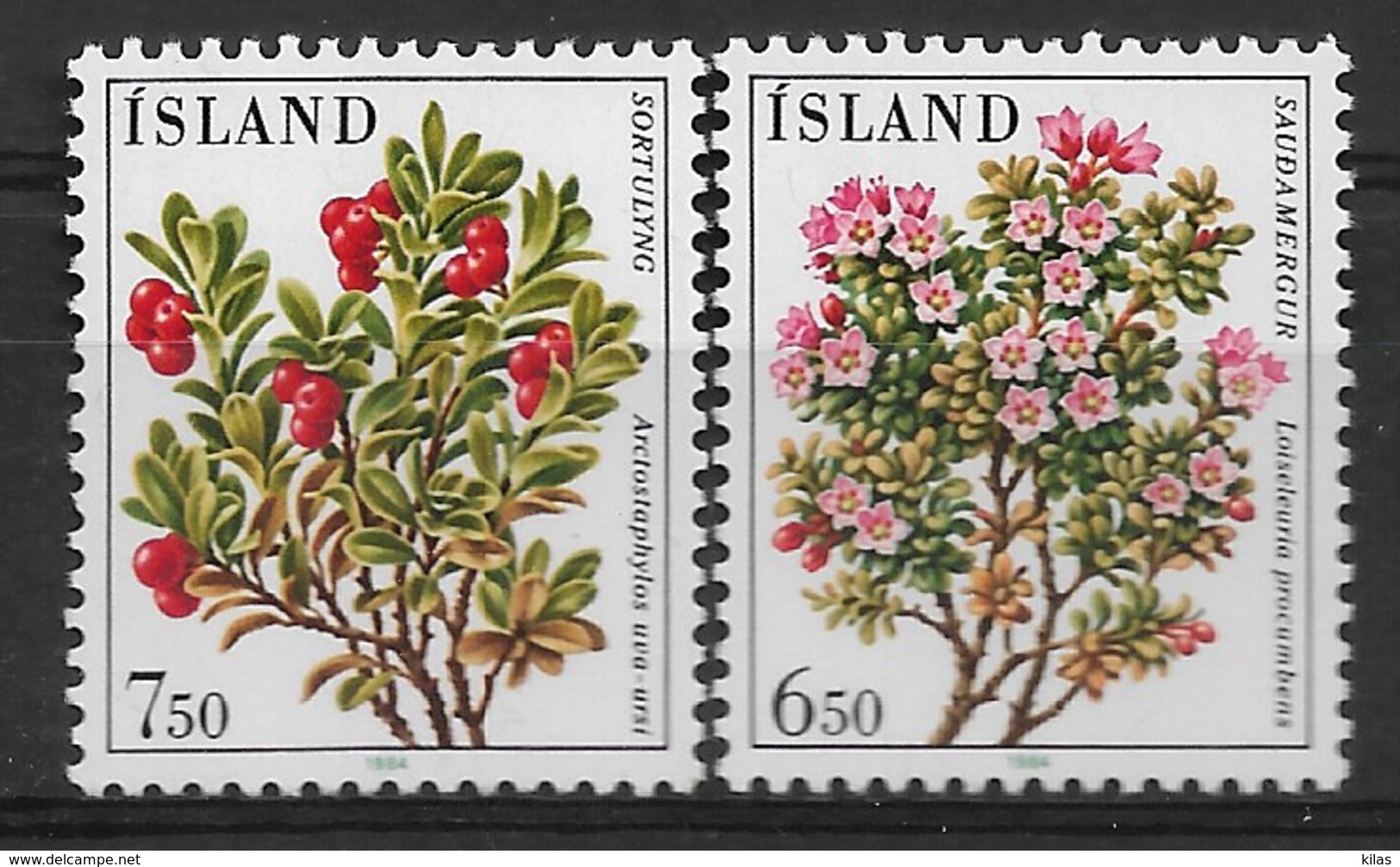 ISLAND 1984 FLOWERS  MNH - Altri & Non Classificati