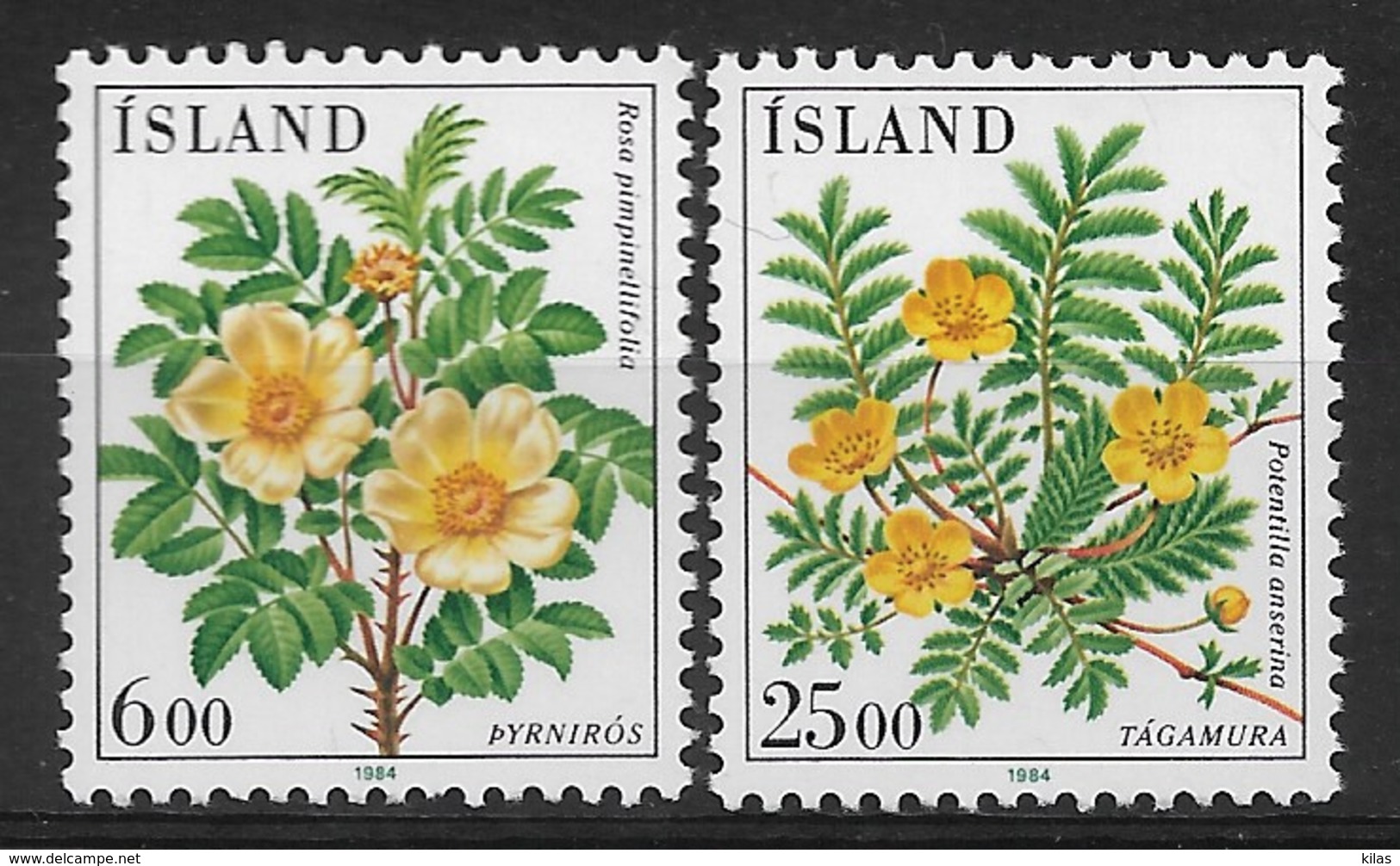 ISLAND 1984 FLOWERS  MNH - Altri & Non Classificati