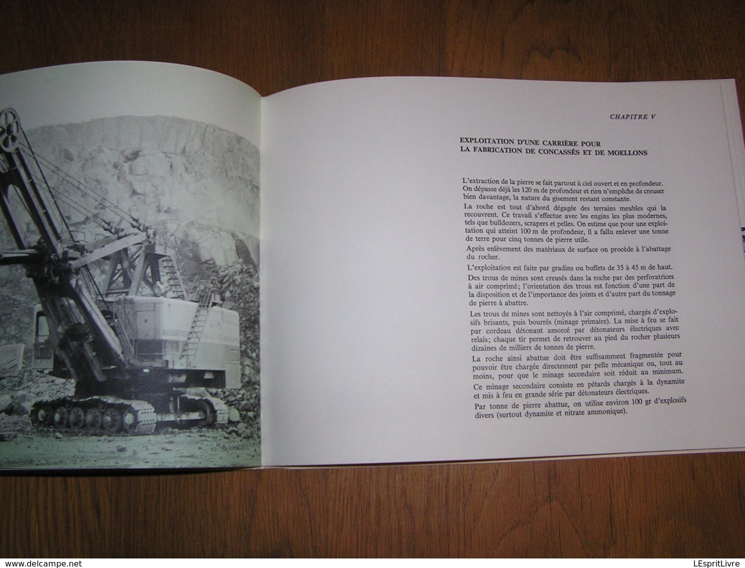 SOCIETE ANONYME DES CARRIERES DE PORPHYRE DE QUENAST 1864 1964 Régionalisme Région Lessines Industrie Pierre Carrière