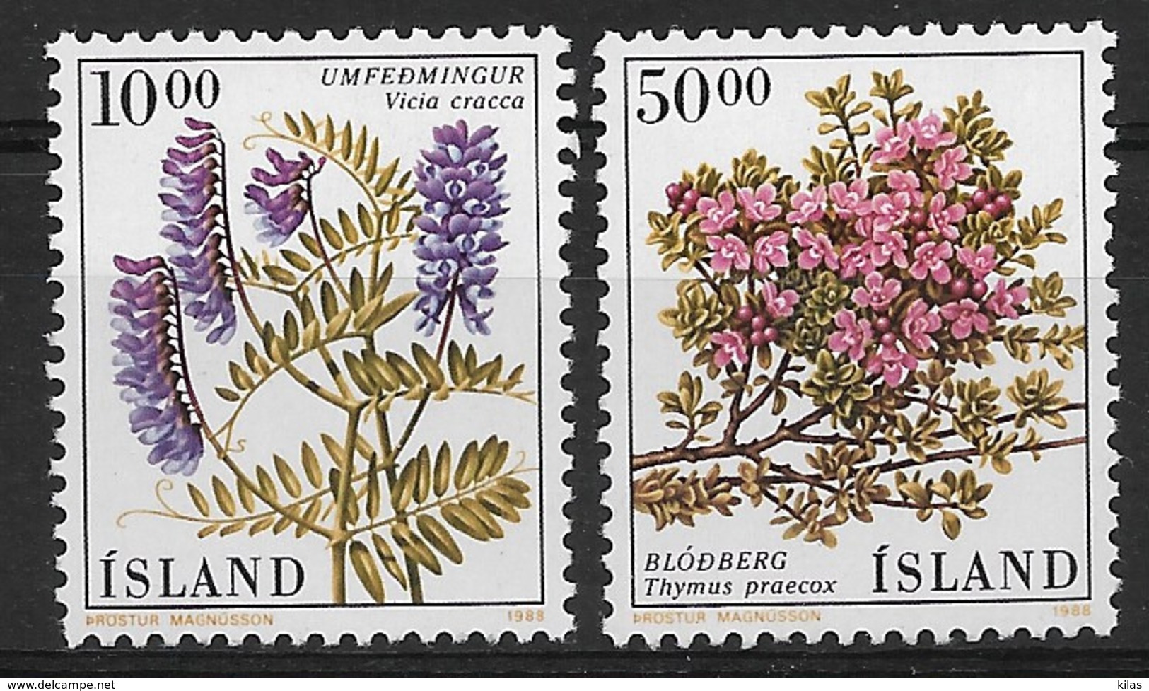 ISLAND 1988 FLOWERS  MNH - Altri & Non Classificati