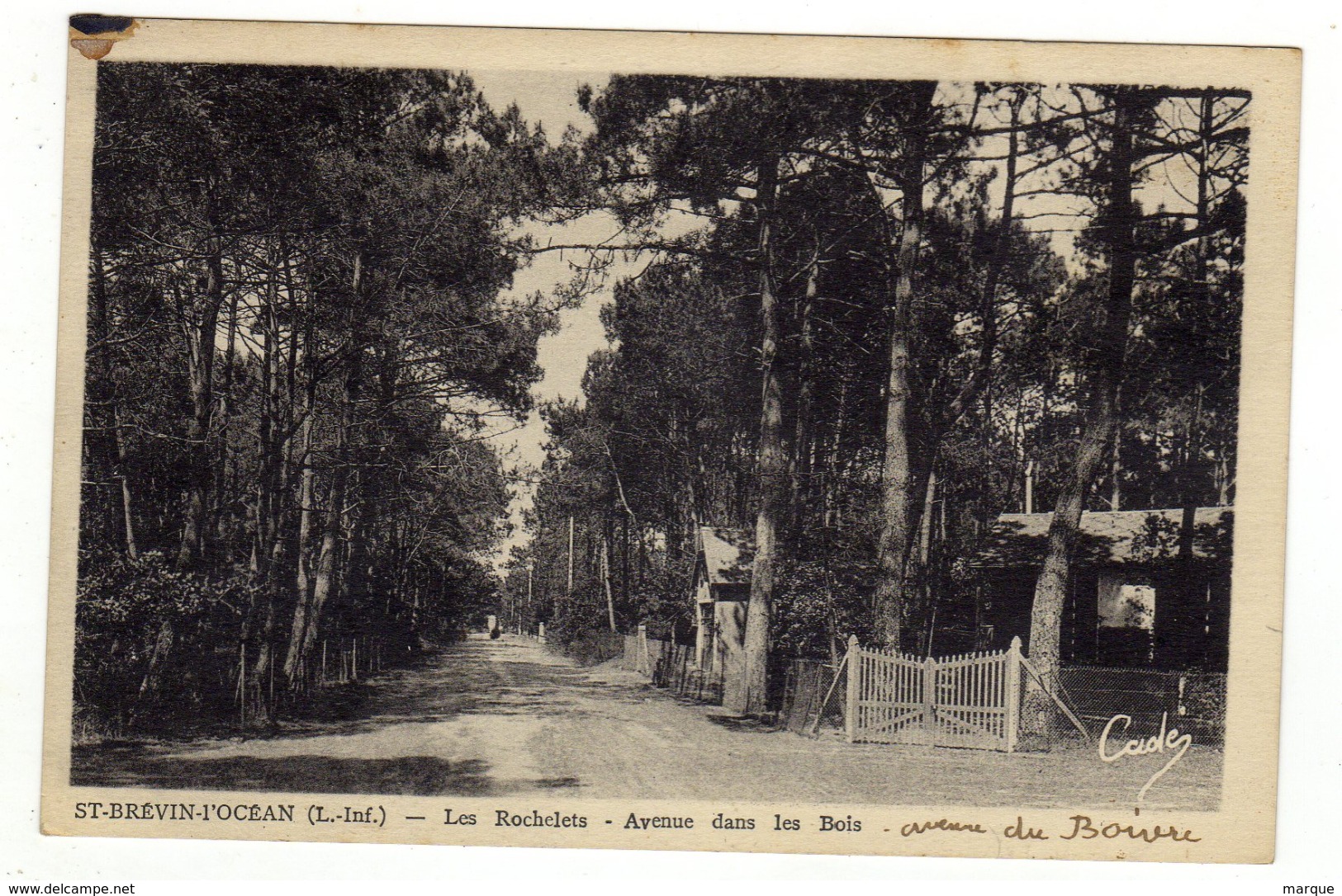 Cpa SAINT BREVIN L ' OCEAN Les Rochelets Avenue Dans Les Bois - Saint-Brevin-l'Océan