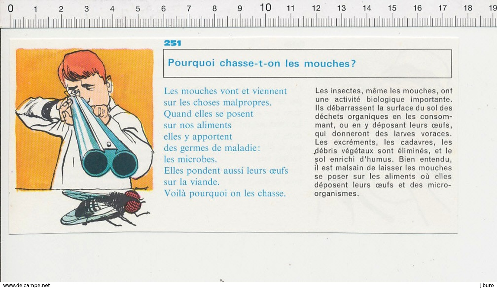 2 Scans Métier Infirmière Piqûre Seringue / Mouche Fisil De Chasse à Deux Canons Mouches Insecte  PF6 - Unclassified