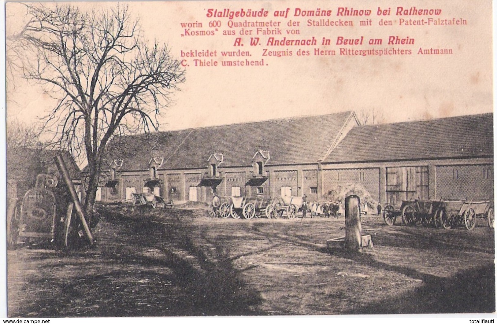 Stall Gebäude Auf Rittergut Domäne RHINOW Bei Rathenow Werbung Isolierdecke Aus Bonn Beuel Am Rhein Belebt 1907 - Rathenow