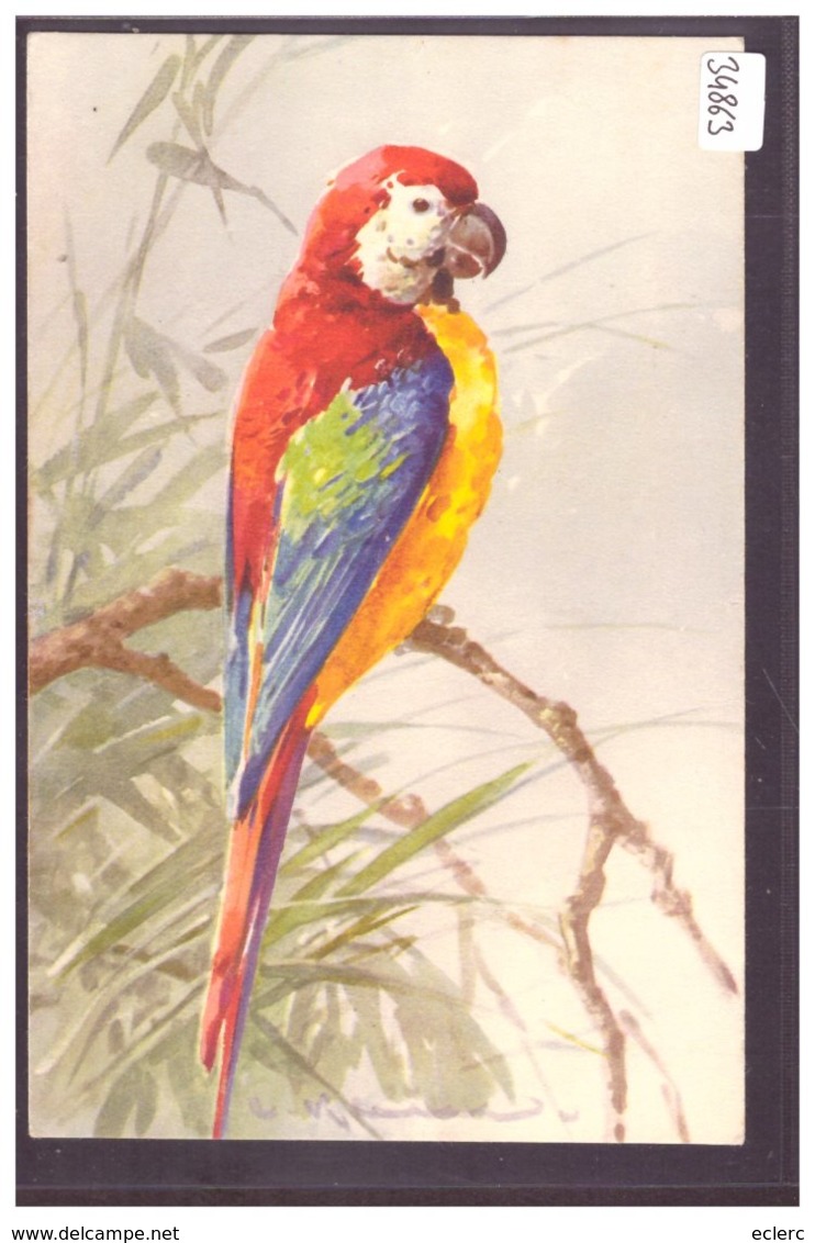 OISEAU - PERROQUET - PAR KLEIN - TB - Klein, Catharina