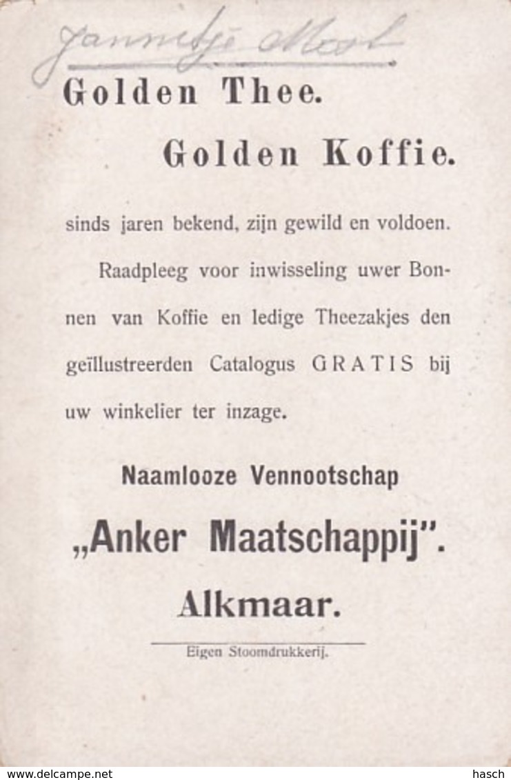 193713,,Anker Maatschappij"  Alkmaar. Golden Thee. Golden Koffie (eigen Stoomdrukkerij) (rechts Boven Een - Andere & Zonder Classificatie