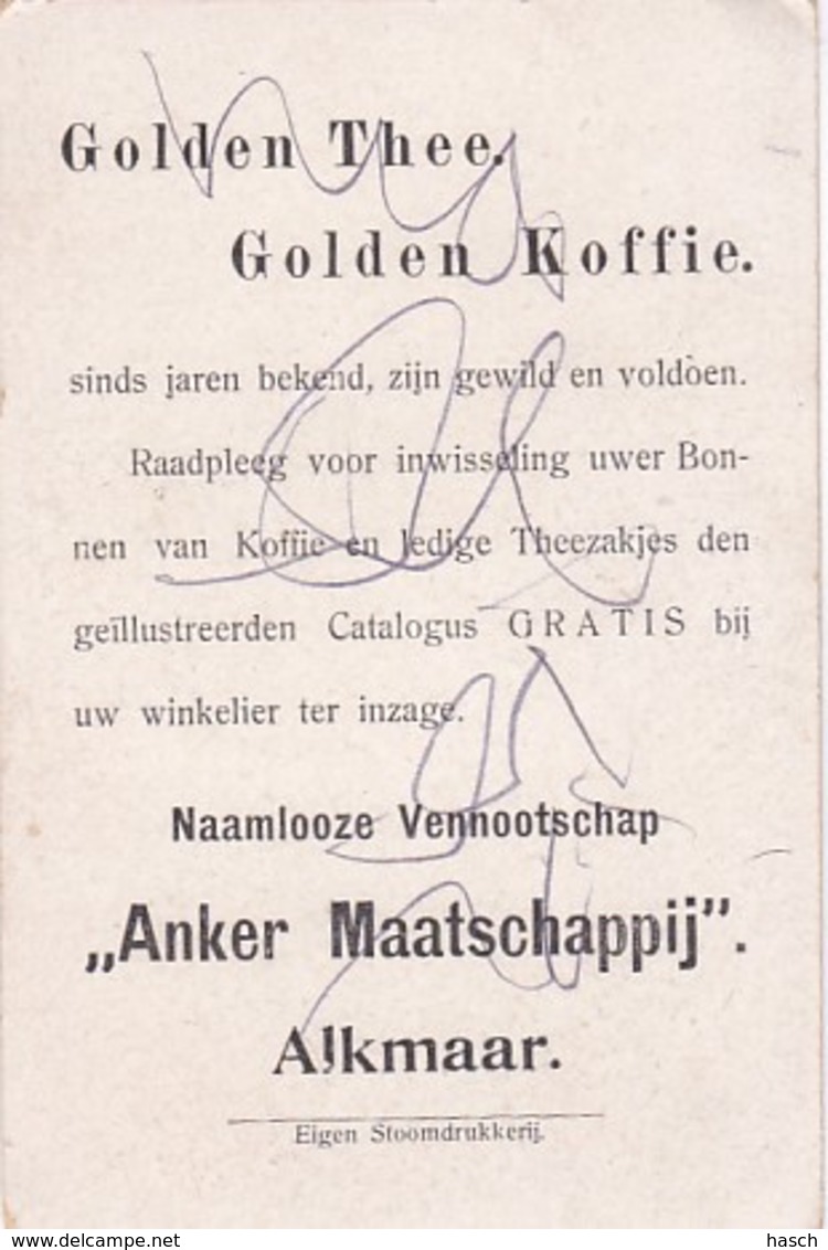 1937101Golden Thee. Golden Koffie. ,,Anker Maatschappij"  Alkmaar (Eigen Stoomdrukkerij)Rome - Andere & Zonder Classificatie