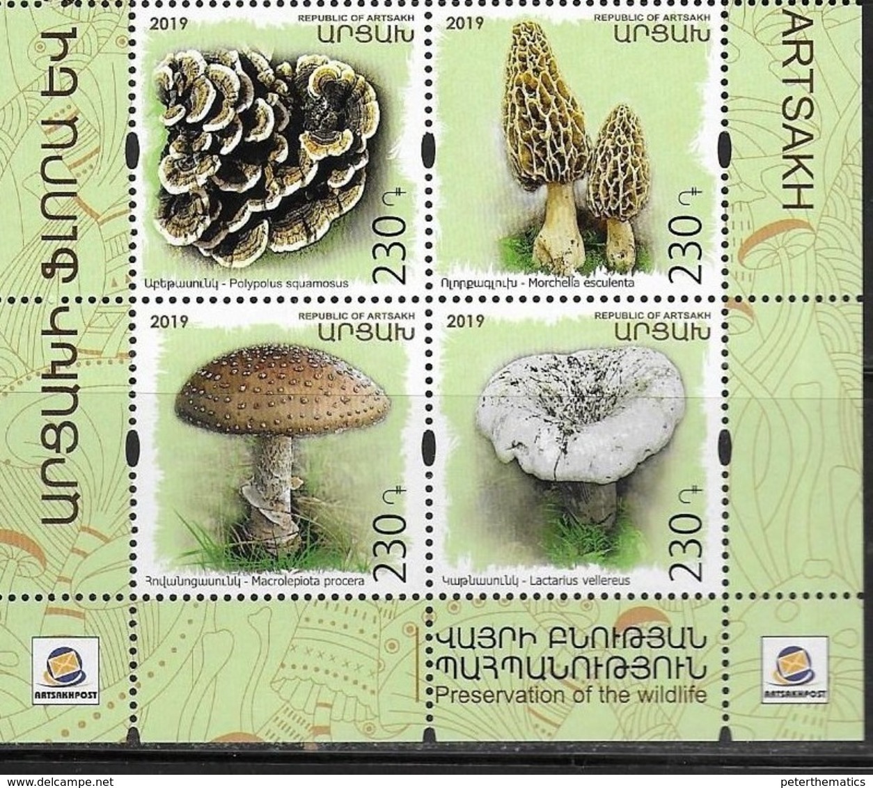 NAGORNO KARABAKH, REPUBLIC OF ARTSAKH , 2019, MNH, PLANTS, MUSHROOMS, 4v - Mushrooms