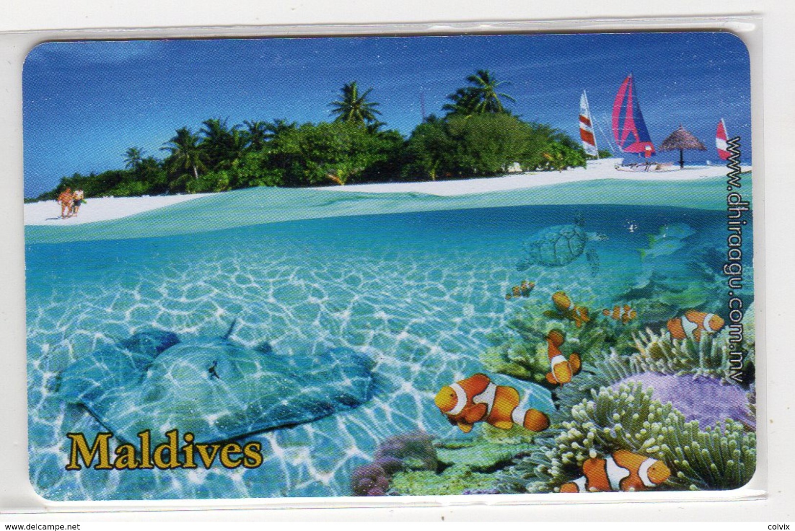 MALDIVES 50U Silver Jubilee PALMIER Carte Non Rèfèrencée - Maldive