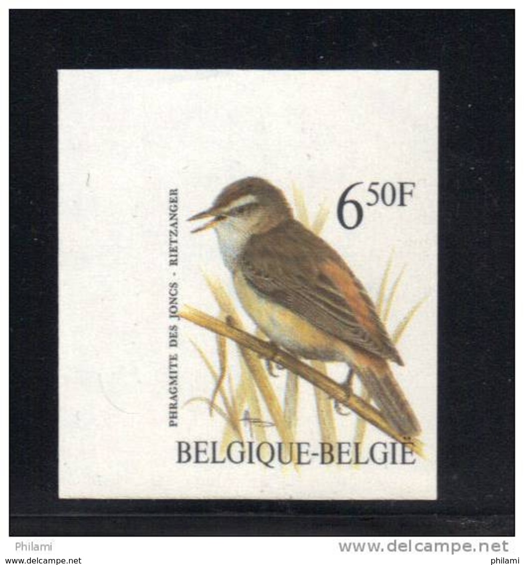 BELGIQUE COB 2577 ND, ** MNH BUZIN. (3TM60) - 1985-.. Birds (Buzin)
