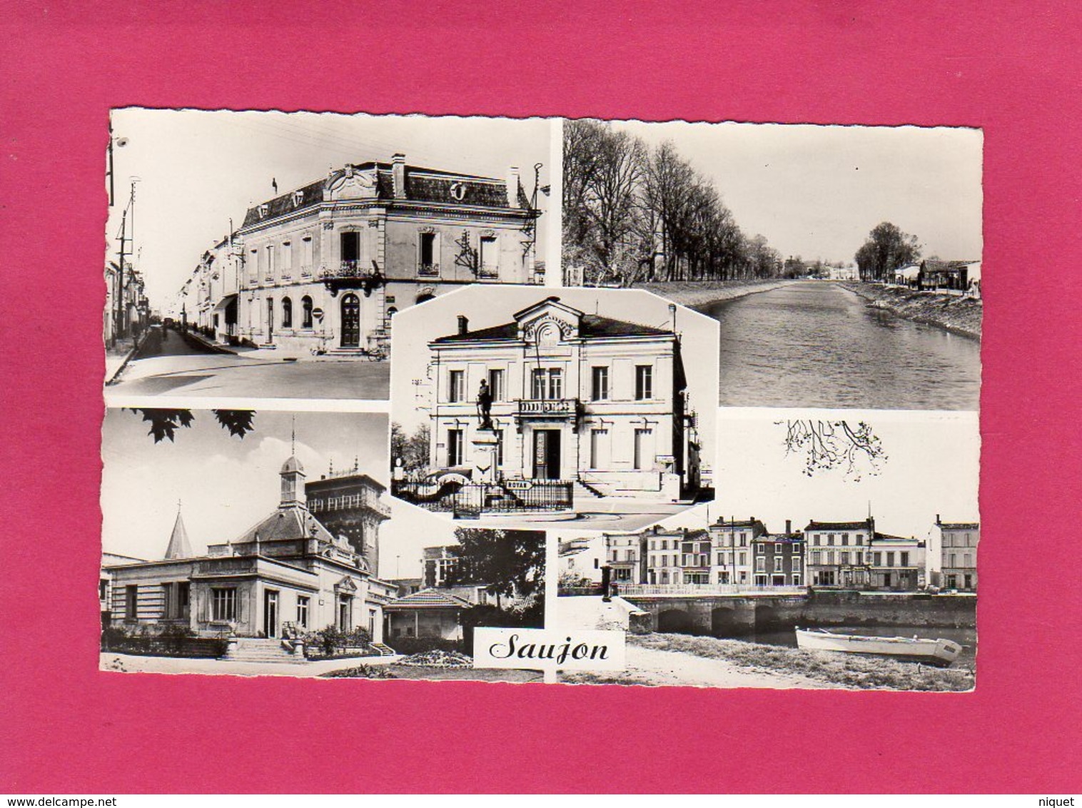 17 Charente Maritime, SAUJON, Multivues, Rives De La Seudre, (CAP) - Saujon