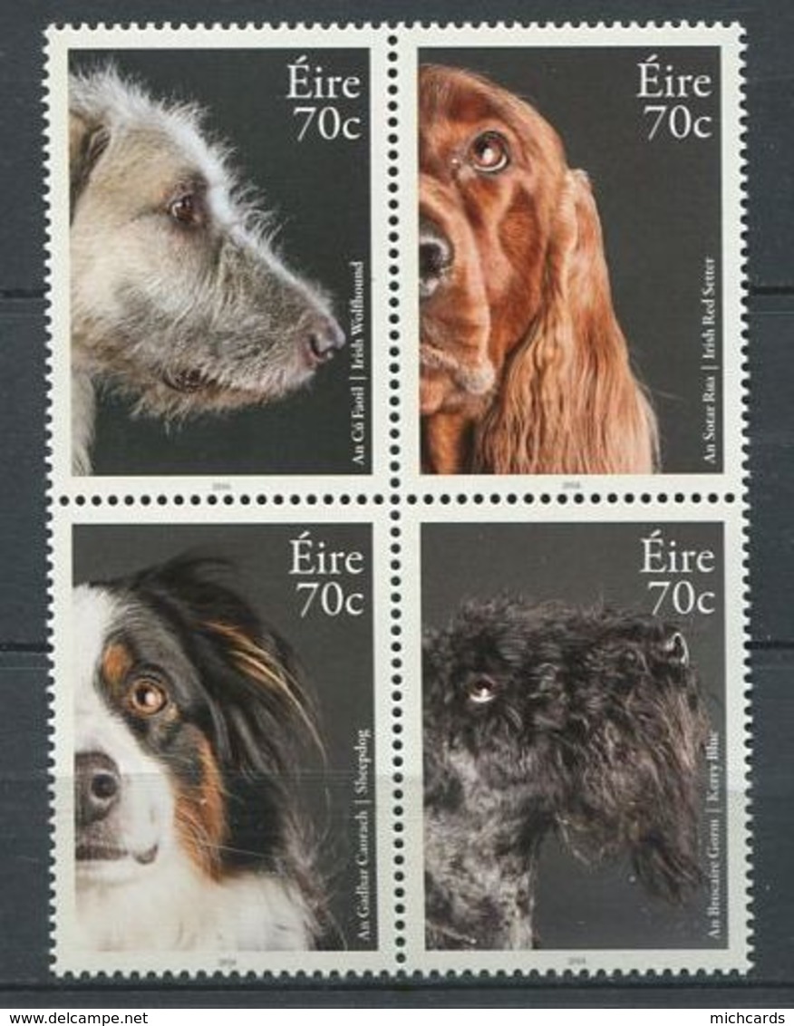 255 IRLANDE 2016 - Yvert 2164/67 - Chien Levrier Setter Terrier - Neuf ** (MNH) Sans Charniere - Ungebraucht