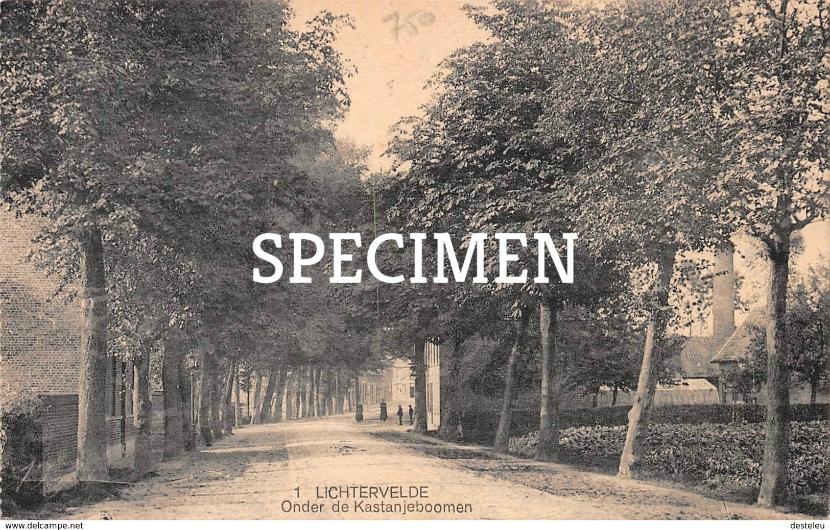 1 Onder De Kastanjebomen - Lichtervelde - Lichtervelde