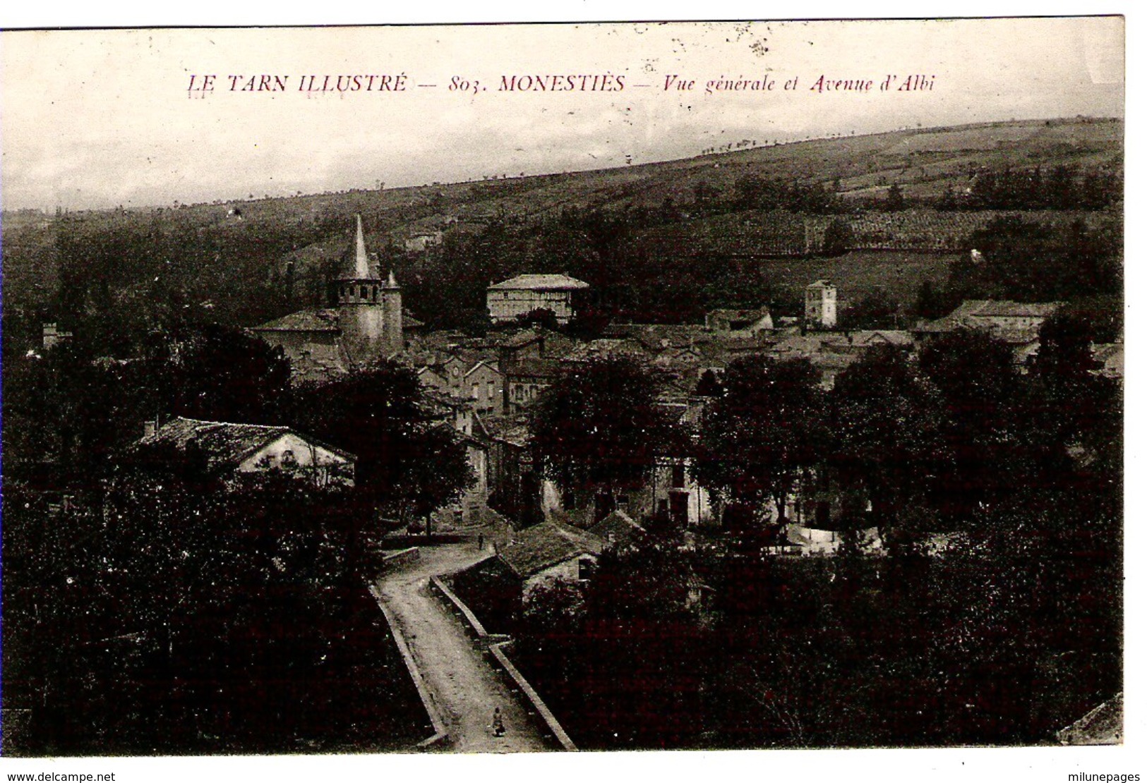 81 TARN Vue Générale Sur L'Avenue D'Albi à MONESTIES - Monesties