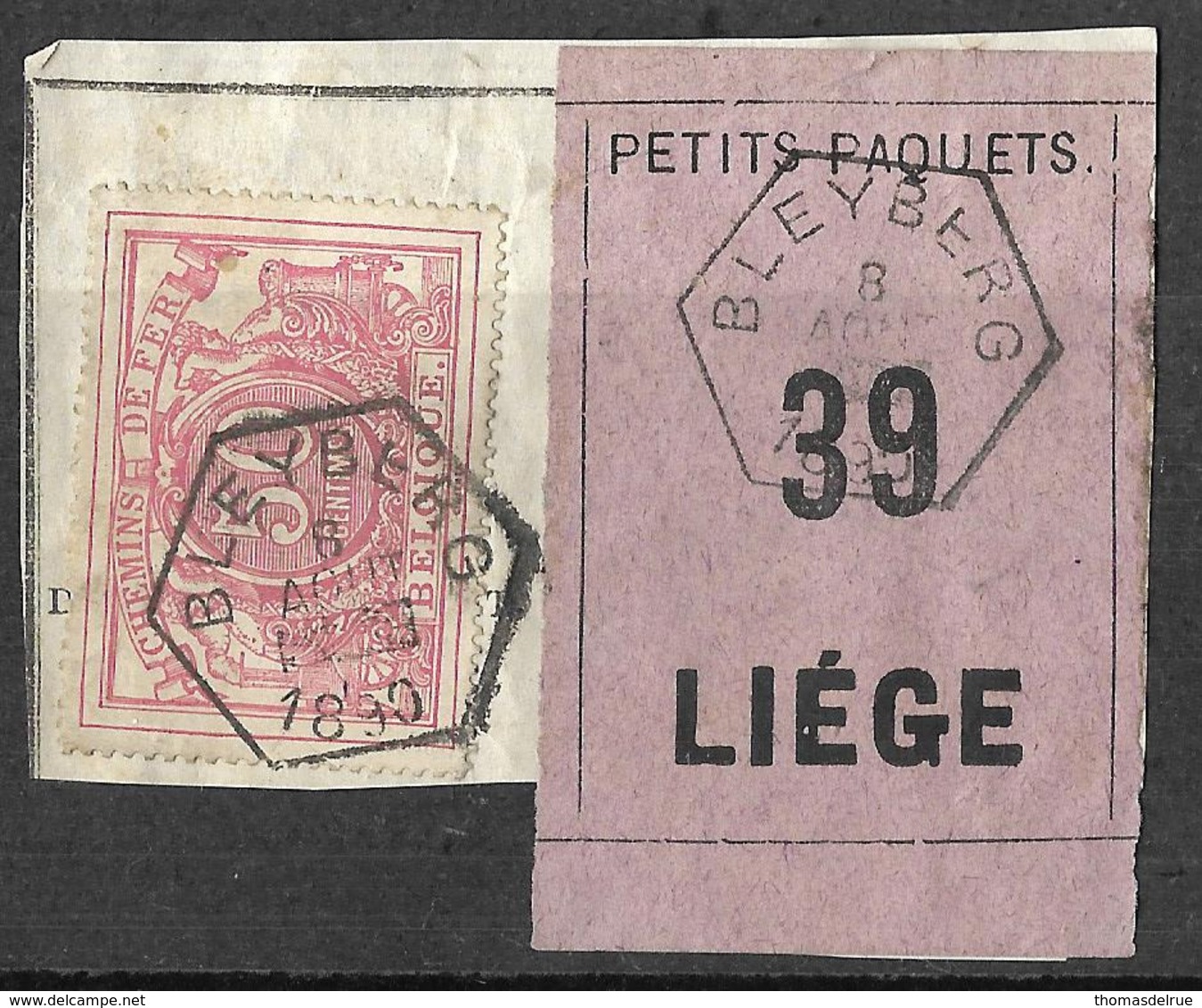 A0.20:BLEYBERG:N°11: Hexagone: Type Bb>LIEGE:op Fragm. "Lettre De Voiture": 31: 8 AOUT ▄ 1890 - Used