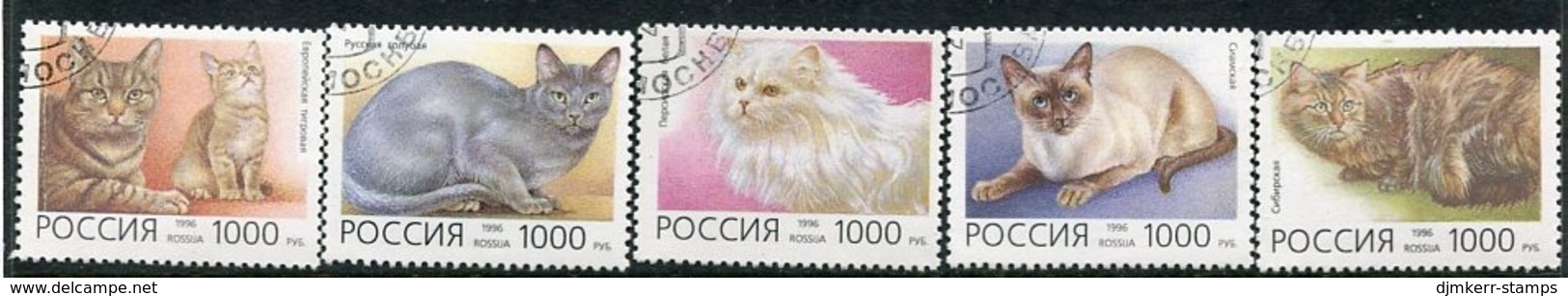 RUSSIA 1996 Cats  Used.  Michel 485-89 - Gebruikt