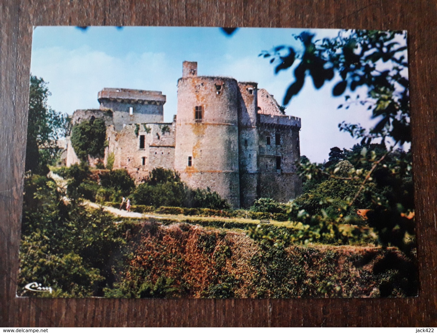 L22/881 CLISSON - Le Château - Clisson