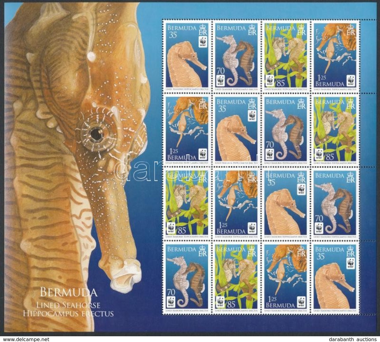 ** 2010 WWF: Tengeri Csikók Kisív Mi 1005-1008 - Sonstige & Ohne Zuordnung