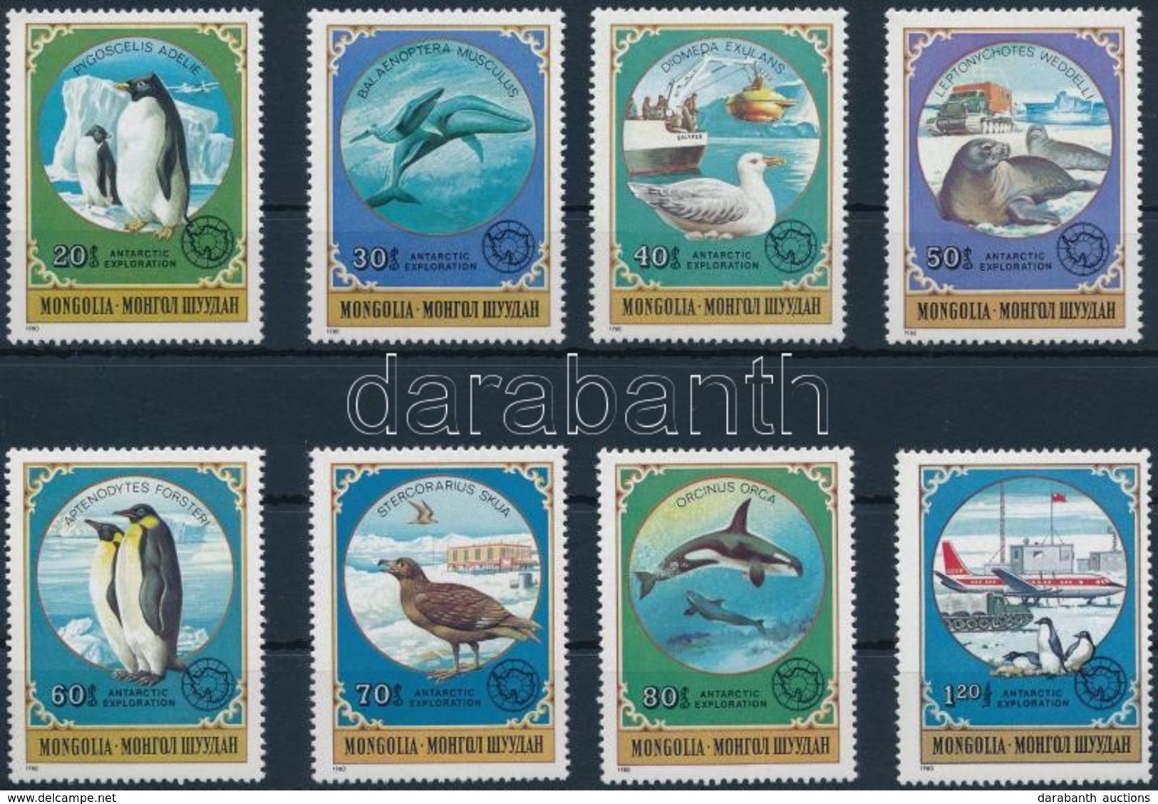 ** 1980 Antarktisz Kutatás - Állatok Sor,
Antarctic Research - Animals Set
Mi 1336-1343 - Other & Unclassified