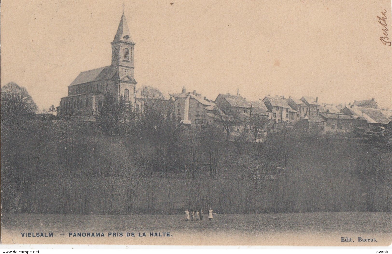 VIELSALM / PANORAMA PRIS DE LA HALTE - Vielsalm