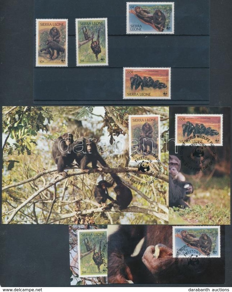 ** 1983 WWF Közönséges Csimpánz Sor Mi 713-716 + 4 CM + 4 FDC-n - Sonstige & Ohne Zuordnung