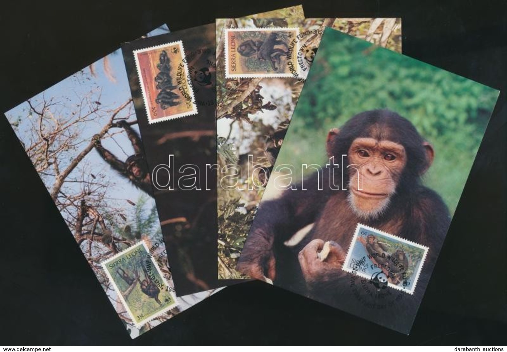 ** 1983 WWF: Csimpánzok Sor Mi 713-716 + 4 Db CM + 4 Db FDC - Sonstige & Ohne Zuordnung