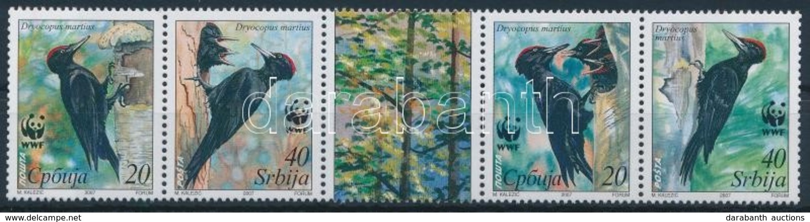 ** 2007 WWF Fekete Harkály ötöscsík Szelvénnyel,
WWF Black Woodpecker Stripe Of 5 With Tab
Mi 188-191 - Sonstige & Ohne Zuordnung