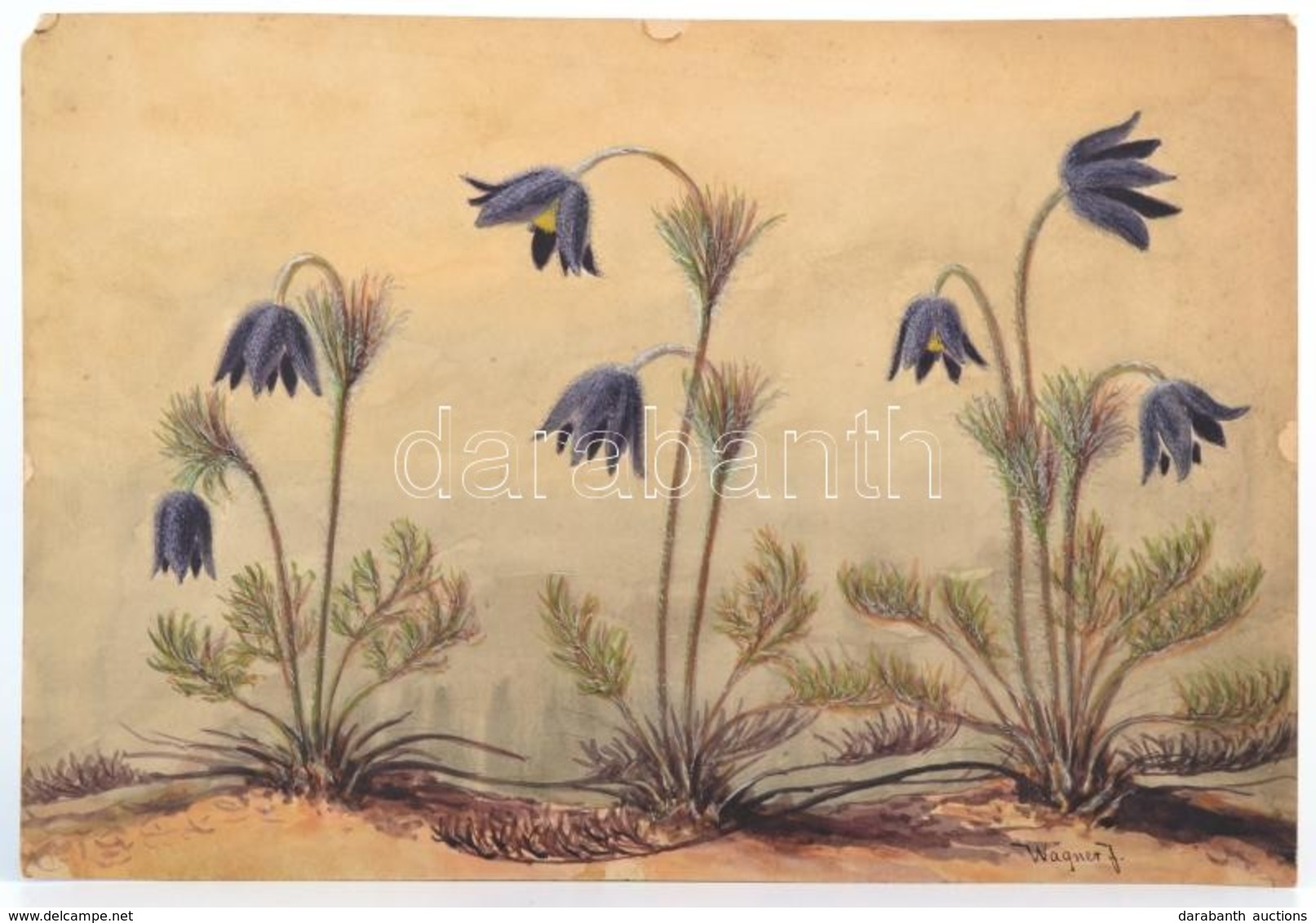 Wagner Jelzéssel: Harangvirágok. Akvarell, Papír, 25×36 Cm - Other & Unclassified