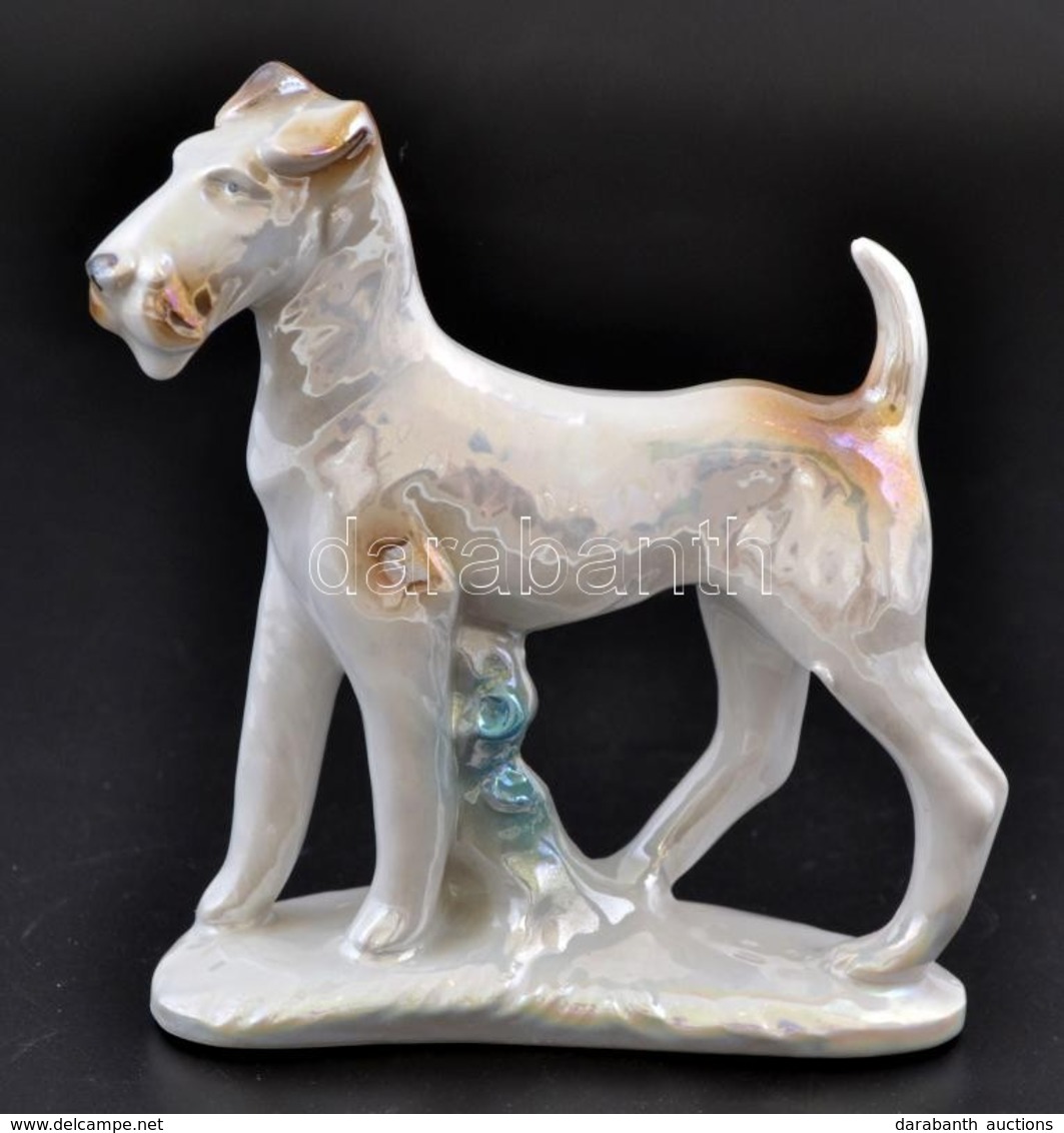 Foxterrier Porcelán Figura, Kézzel Festett, Jelzés Nélkül, Hibátlan, 12×11 Cm - Other & Unclassified