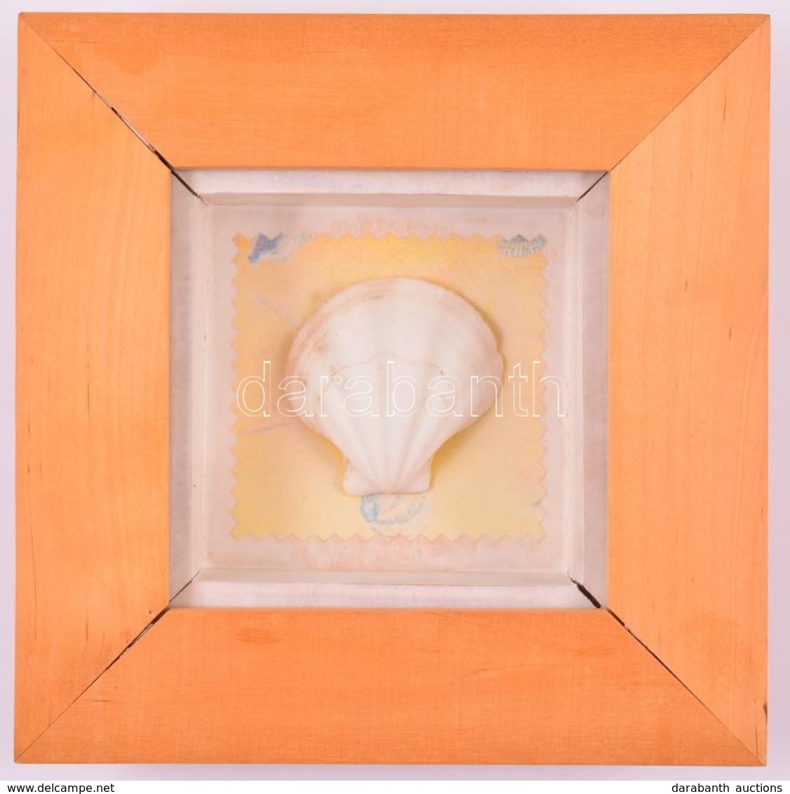 Kis Kagyló, üvegezett Fa Keretben, 16,5×16,5 Cm - Other & Unclassified