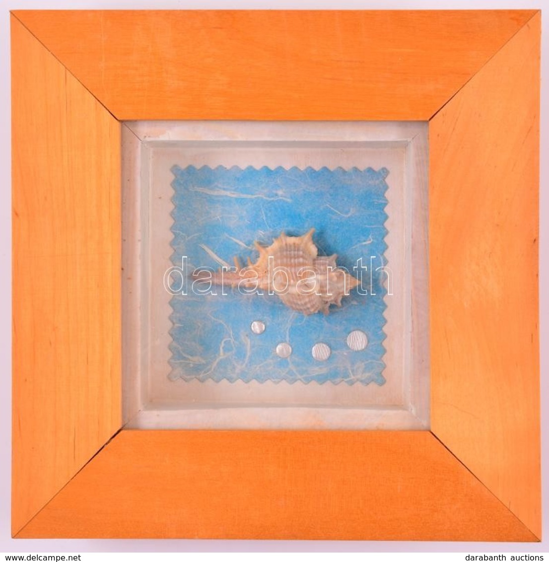 Kis Kagyló, üvegezett Fa Keretben, 16,5×16,5 Cm - Sonstige & Ohne Zuordnung