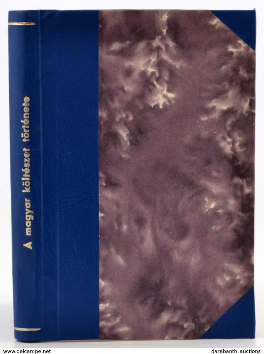 Toldy Ferenc: A Magyar Költészet Zrínyiig. Pest, 1854, Heckenast. Újrakötött Félvászon Kötés, Lapok Foltosak. - Unclassified