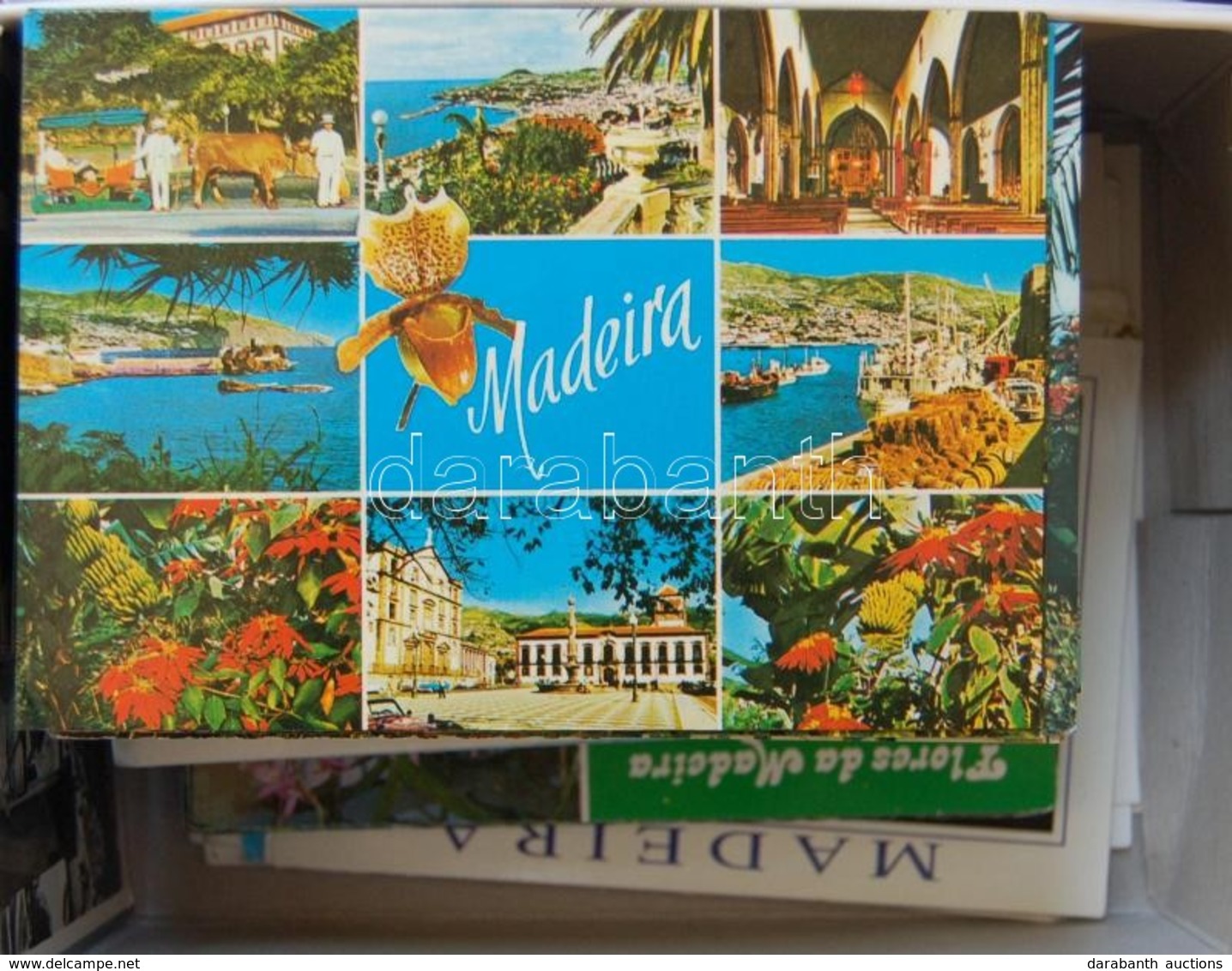 Madeira-szigetek 229 Db Modern Képeslap, Sok érdekességgel - Ohne Zuordnung