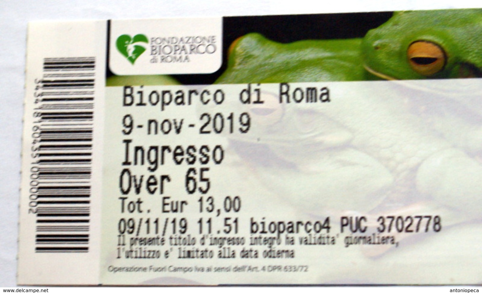 ITALY, 2019 ENTRANCE TICKET ROME ZOO - Tickets - Entradas