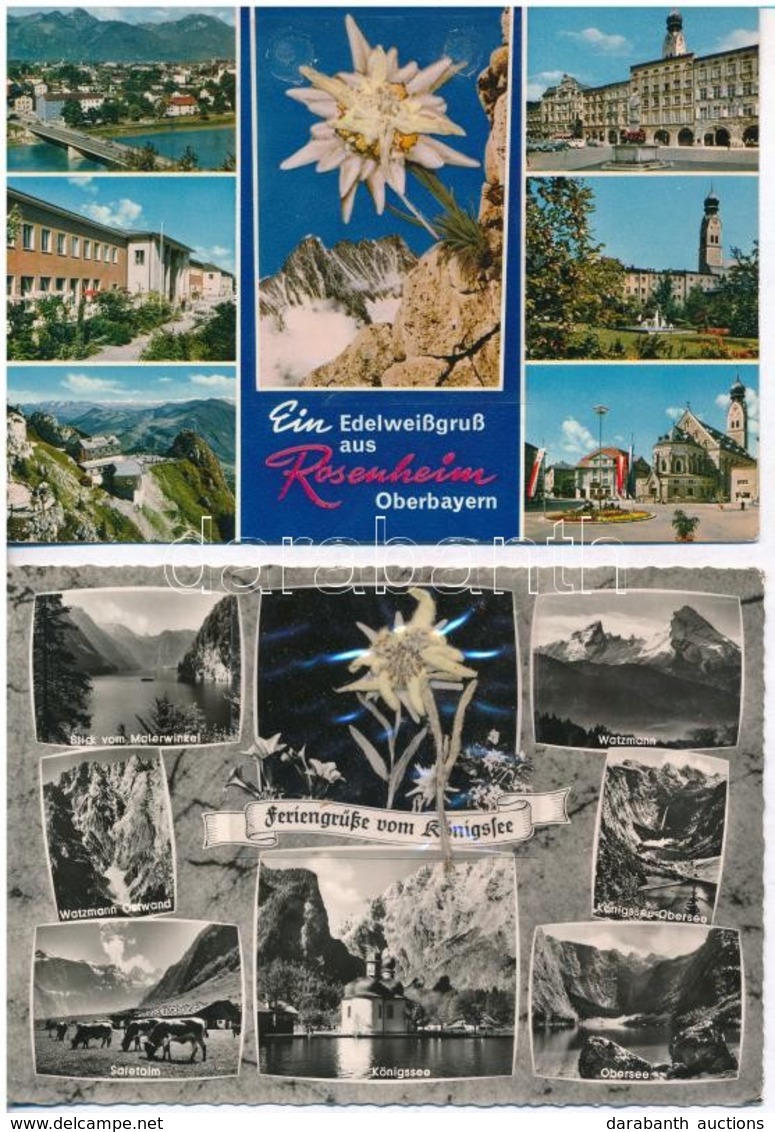 ** 4 Db MODERN Képeslap Havasi Gyopárral (3 élővirágos) / 4 Modern Postcards With Edelweiss Flower (Leontopodium Nivale) - Unclassified